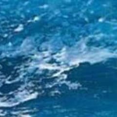 やな様専用のサムネイル