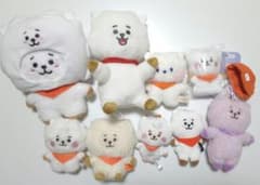 BT21 RJ 봉제 장난감 포장
