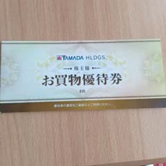 ヤマダ電機 お買い物優待券 株主優待券　3000円分のサムネイル