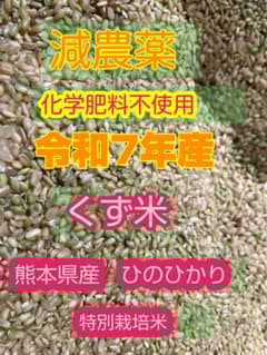 令和7年度産 ひのひかり 屑米 特別栽培米 玄米 箱込み24Kg - メルカリ