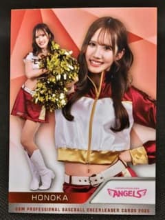 TOHOKU GOLDEN ANGELS チアウェア ポンポン　チアセット TOHOKU GOLDEN ANGELS チアウェア ポンポン チアセット