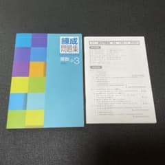 練成問題集 算数 小3後期 早稲田アカデミー・四谷大塚 - メルカリ