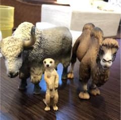 ちゃいこ様専用のサムネイル