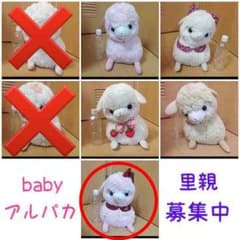 ゆう様専用【5月末まで】ふわふわアルパカ♡ぬいぐるみのサムネイル