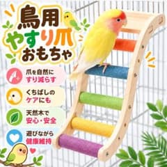 鳥用 止まり木 はしご インコ おもちゃ 爪とぎ 天然木 カラフルのサムネイル