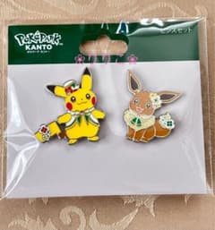 ポケパークカントー限定 ピンバッジ ピンズ ピカチュウ イーブイ