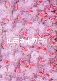 山田さま専用♡のサムネイル