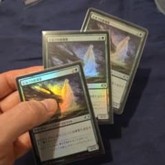 FOIL エルフの指導霊 3枚セット DMR157 日本語 - メルカリ