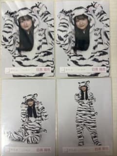 櫻坂46 どうぶつ着ぐるみ 目黒陽色 生写真 セミコンのサムネイル