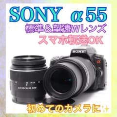 SONY α55◇すぐ使える◇一眼レフカメラ◇スマホ転送OK◇標準＆望遠W