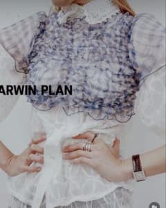DARWIN PLAN 半袖チェックシャツ - メルカリ