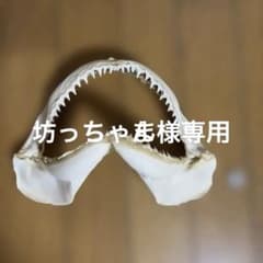 坊っちゃん様 リクエスト 2点 まとめ商品のサムネイル