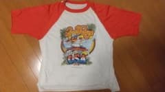 ビーチボーイズ ヴィンテージ ロック ラグラン  Tシャツ  80'sのサムネイル