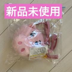 【新品未使用】TDR限定品　パスケース　ハトイストーリー　ディズニーのサムネイル
