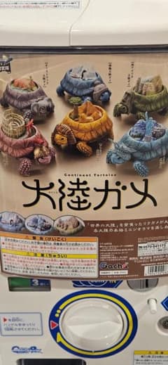 大陸ガメガチャのサムネイル