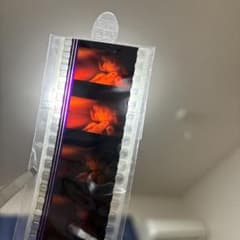 에반게리온 신극장판:서 DVD 특전 컷 필름 레이 플러그 슈트 ②