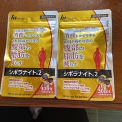 明治薬品シボラナイト2のサムネイル