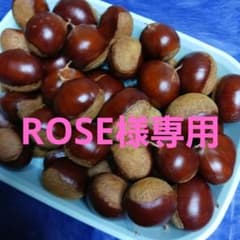 群馬県産 生栗 約1.4kg No.7のサムネイル