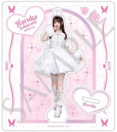 m99500042269_1.jpg?1747400461