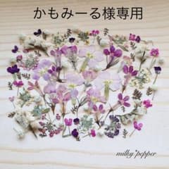 かもみーる様専用 B級品ドライフラワー 押し花 ピンクパープル、秋色ミックスのサムネイル
