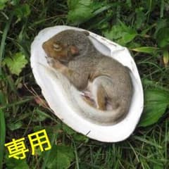 れぁちゃるんさん専用のサムネイル