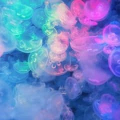 くうさま専用☆のサムネイル