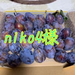 niko4様は専用です、のサムネイル