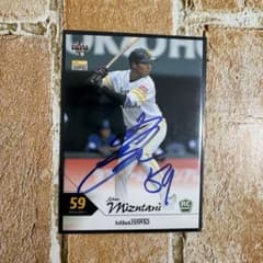 ⭐︎福岡ソフトバンクホークス⭐︎ 水谷瞬 選手 直筆サインカード