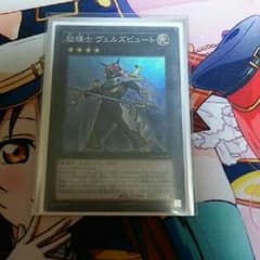 励輝士 ヴェルズビュートのサムネイル