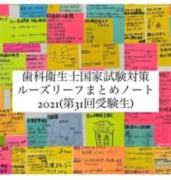歯科衛生士国家試験対策ルーズリーフまとめノート！のサムネイル