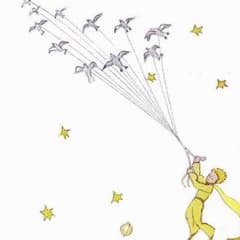 星の王子様のサムネイル