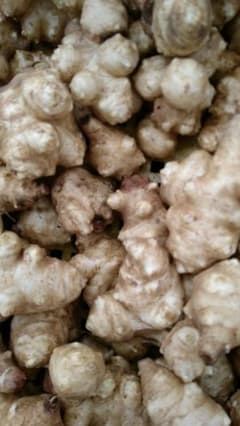 taffy様専用菊芋 農薬不使用化学肥料不使用2キロのサムネイル