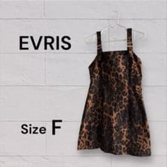 EVRIS ヒョウ柄ミニワンピース　サイズFのサムネイル