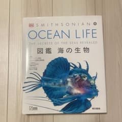 【値下げ】　OCEAN LIFE 図鑑 海の生物のサムネイル