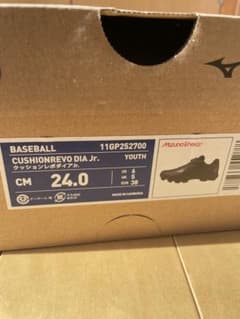 Mizuno CUSHIONREVO DIA Jr. 24.0cm WIDEのサムネイル