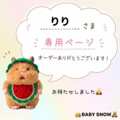 りりさま専用☆のサムネイル
