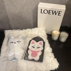 ENHYPEN♡ソヌ＊ぬいぐるみキーホルダー＊トレカケースセット - メルカリ