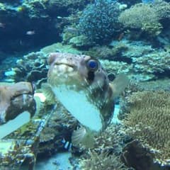 あつきさん専用のサムネイル