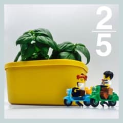 充実版】選べる5色 ちょうどいい大きさの、水耕栽培キット。 - メルカリ