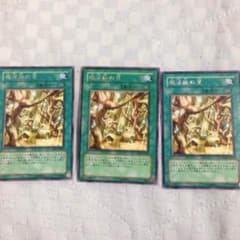 遊戯王 魔法族の里のサムネイル