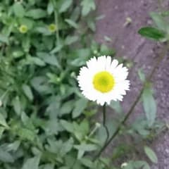 もも様 専用のサムネイル