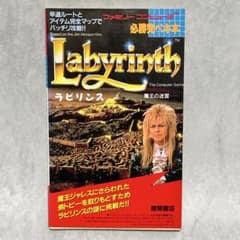 初版】ファミコン 攻略本 ラビリンス 魔王の迷宮 必勝完ペキ本 - メルカリ