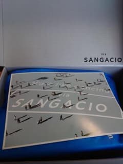 via SANGACIO コラボスニーカー 当選品のサムネイル