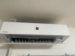 m99590385613_1.jpg?1728568733