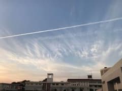 佐藤様 専用のサムネイル