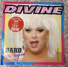 Divine 12インチ 45回転輸入盤レコード2枚組のサムネイル