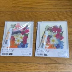 押し花　押花　グッズ「ふしぎな花倶楽部」押し花 セット 手芸 アートフラワー 乾燥マット 保管袋　園芸 ガーデニング 趣味 m99591013780_1.jpg?1713706895