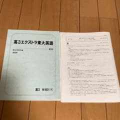駿台 2020年度エクストラ東大英語のサムネイル