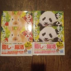毎日脳活スペシャル もふもふのまちがいさがし1.2セットのサムネイル