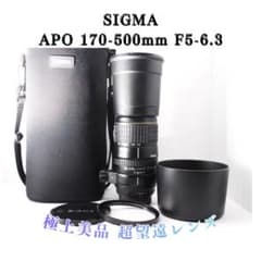 極上コンディション】 SIGMA APO 170-500mm ニコン用 超望遠 - メルカリ
